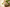 The Science Behind Nutraceuticals - NU Health India