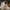 Promotion banner