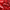 Promotion banner