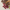 Promotion banner